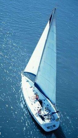 Wallace Sailing Charters