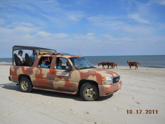 Back Country Safari Tours