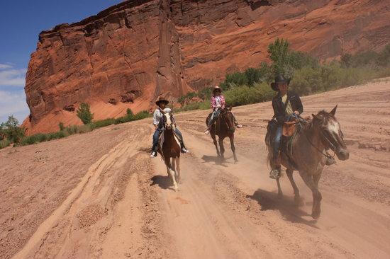 Justin's Horse Rental