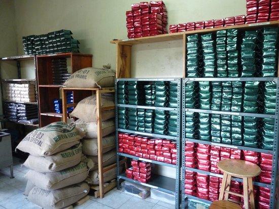 Kotowa Coffee Tour