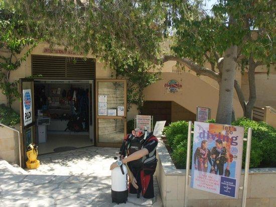 Dive-In Limassol