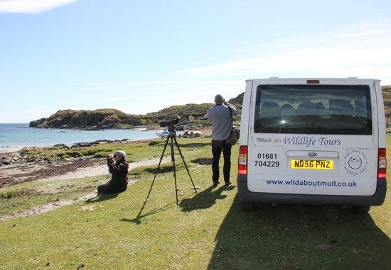 Wild About Mull Wildlife Tours
