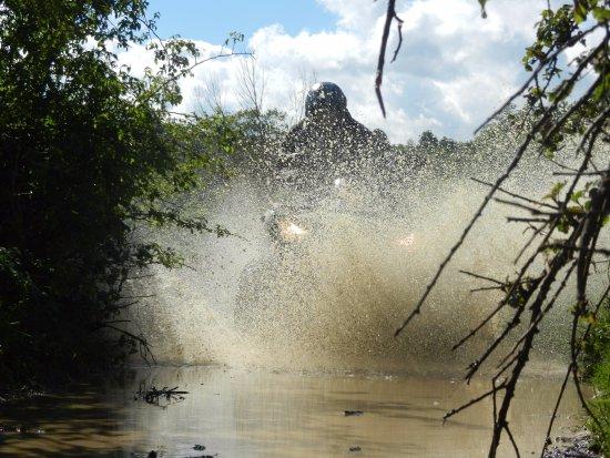 Frog Off-Road