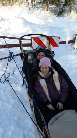 Ultimate Dog Sledding Experience - Day Trips