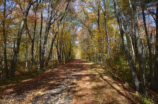 Upper Charles Bike Trail
