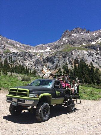 Alpine Scenic Tours