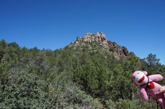 Thumb Butte Trail 33