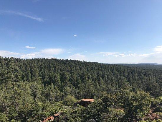 Mogollon Rim Interpretive Trail