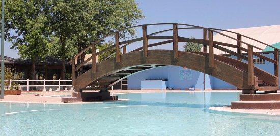 Le Ninfee Del Garda