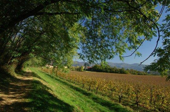Strada del Vino Franciacorta