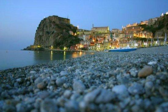 Scilla OnLine