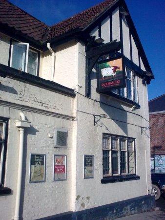 The Durham Ox