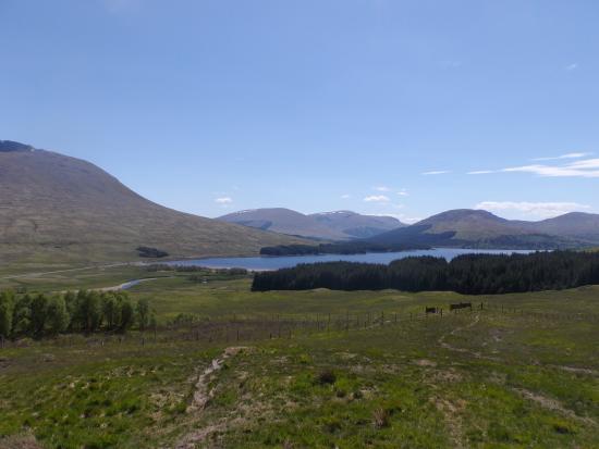 Scotland Day Tours
