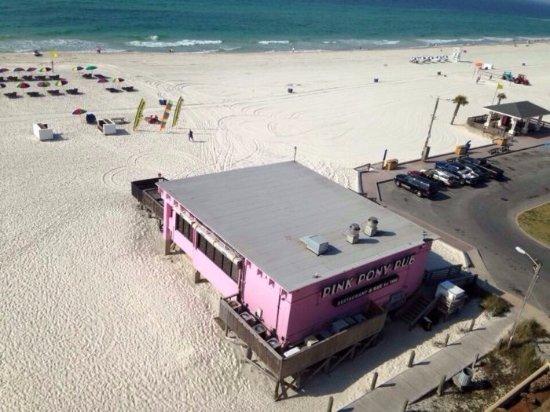 Pink Pony Pub - World Famous Beach Bar