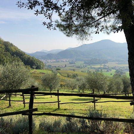 El Sendero Nature Tours & Outdoor Events