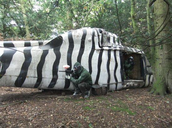 Paintball Commando