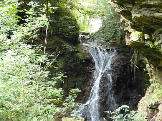 Hareshaw Linn