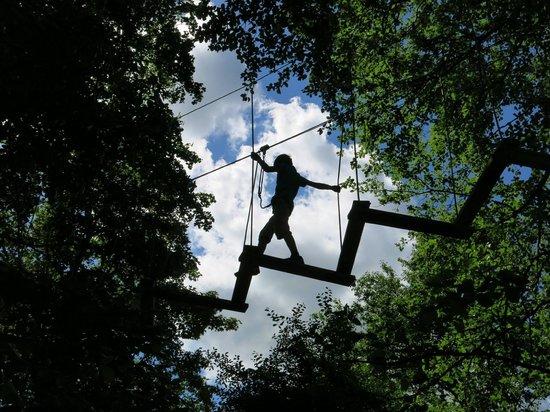 Wild Wood Adventure