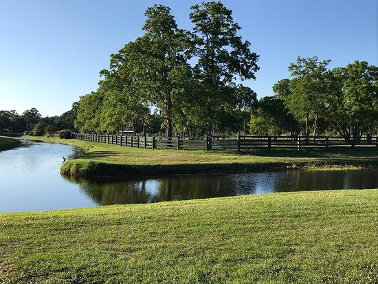 Hilton Head Island Bike Trails