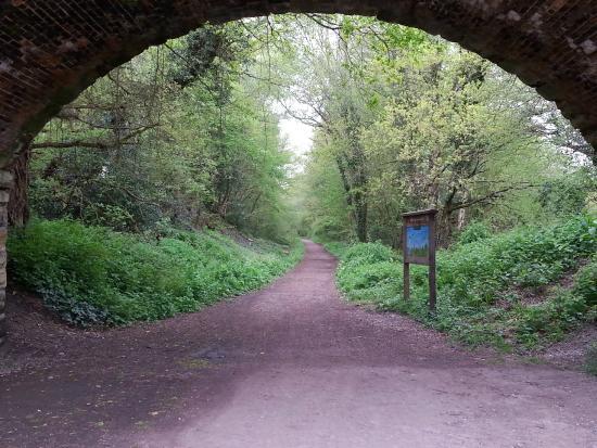 Forest Row Cycle Hire