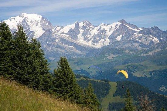 Les Volatiles