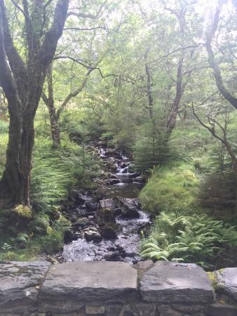 Beddgelert Bikes