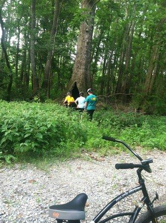 South Tar River Greenway