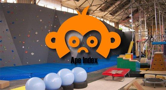 Ape Index