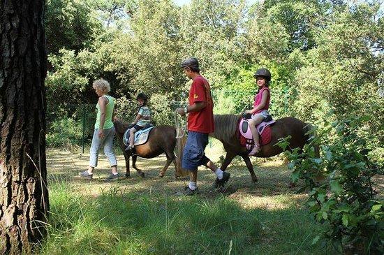 Les Poneys d'O Village