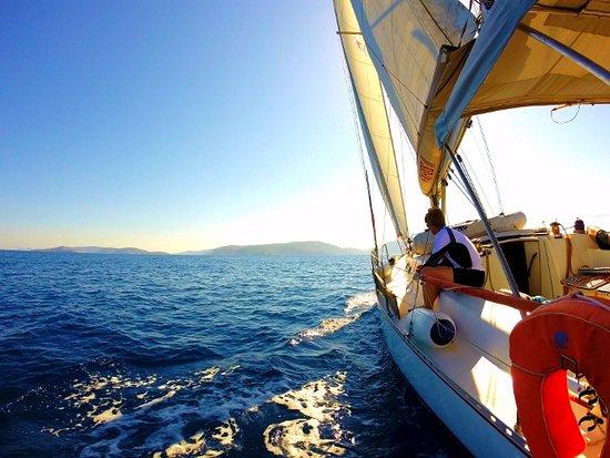 Yako Sailing