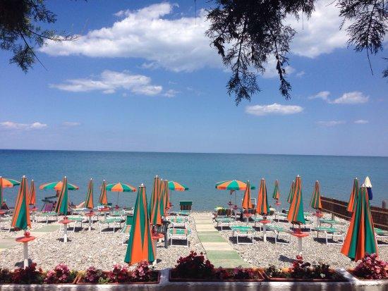 Lido Tamarix