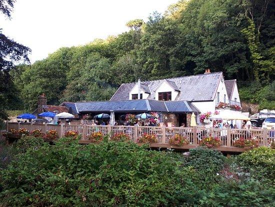 Sawmills Inn Watermouth