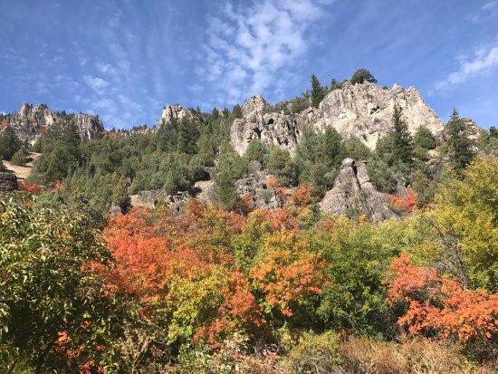 Logan Canyon Scenic Drive