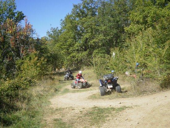 Quads Reperos