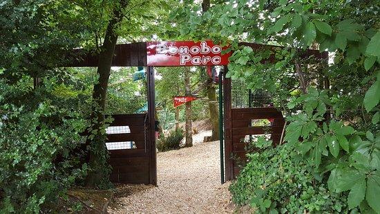 Bonobo Parc
