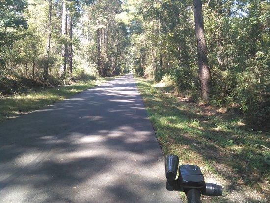 Tammany Trace