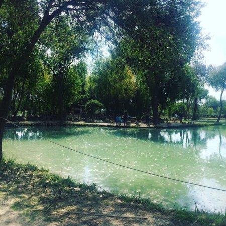 Etang de Peche a la Truite