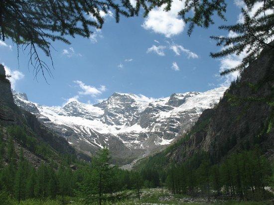 Trekking Alps