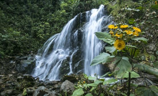 Cascadas del Rio Verde