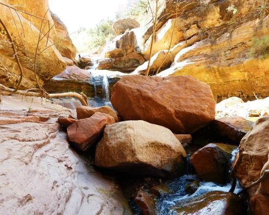 Lower Pine Creek Waterfall