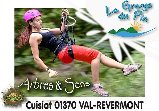 Arbres et Sens Aventures