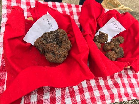 Truffes Passion