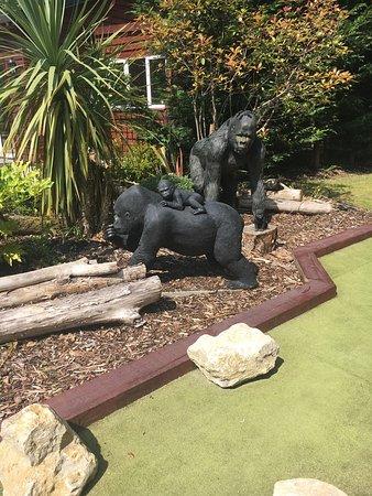 Cinderella Golf and Activity Centre