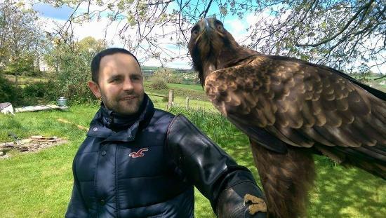 Sharandys Birds of Prey
