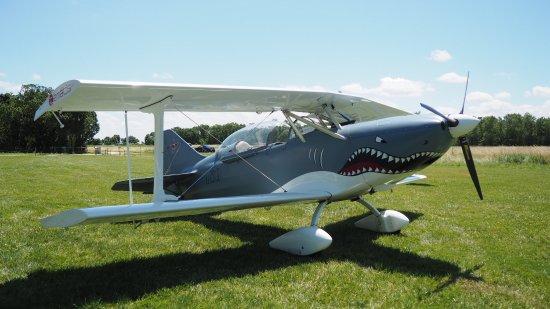 ACE Air Combat Experience