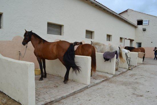 La Cheval Autrement