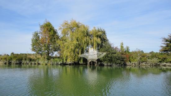 Les Canotiers