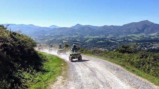 Quad e Nature