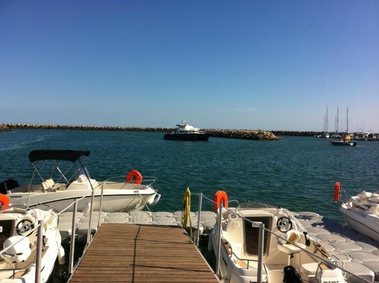 Blue Pearl - Location de Bateaux