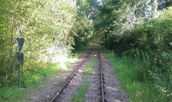 Velorail de l'Armagnac